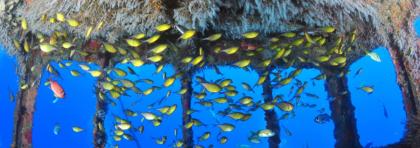 Our Responsibilities 