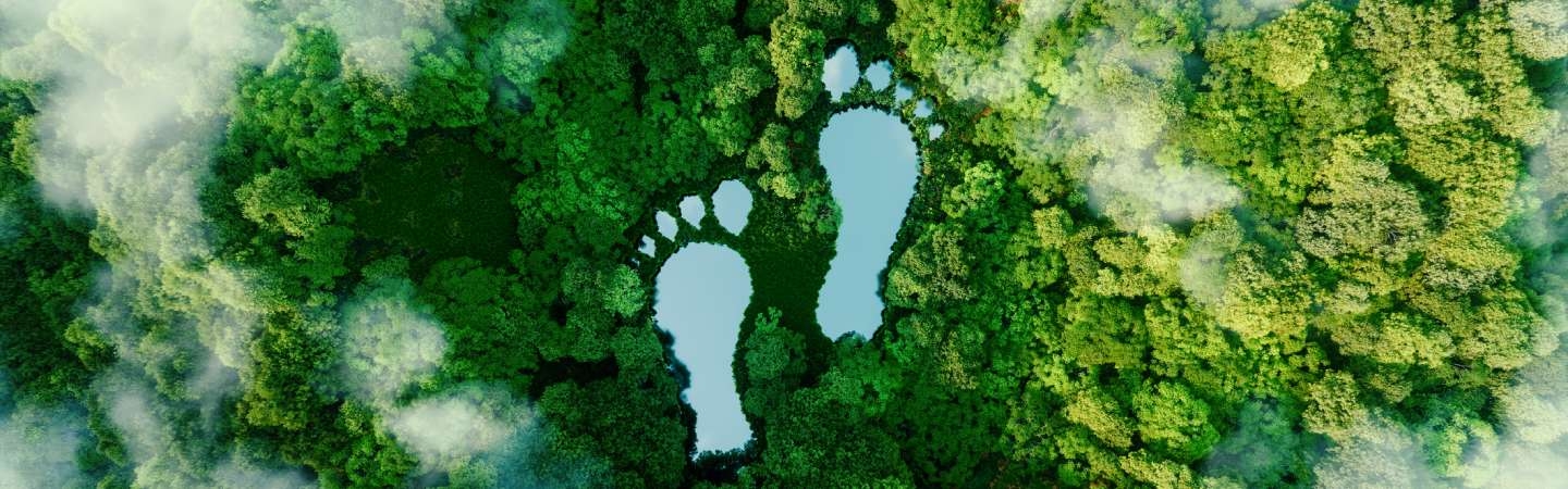 Foot print